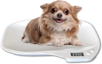 Produktbild von Elektronische Weegschaal für kleine Hunde, Katzen und Reptilien, multifunktional, mit Maßband, für genaue Gewichtsmessung