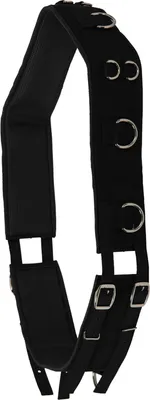Produktbild von Waldhausen Longiergurt Nylon, Größe:Warmblut, Farbe:schwarz