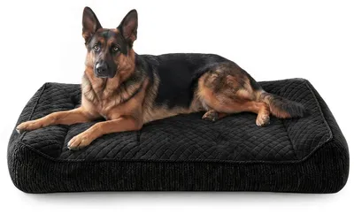 Immagine prodotto di Cuccia ortopedica per cani, grande, lavabile, con rivestimento removibile, antiscivolo, con bordo rialzato, dimensioni 122x89x25 cm, colore nero