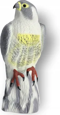 Immagine prodotto di KADAX uccello piccione repellente, grande falco uccello