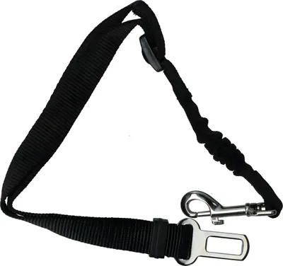 Obrázek produktu pro Bezpečnostní postroj pro psy Pawise, elastický