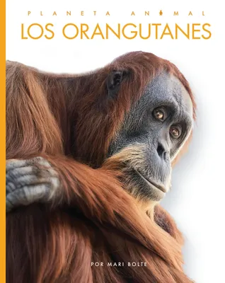 Produktbild von Orang-Utans
