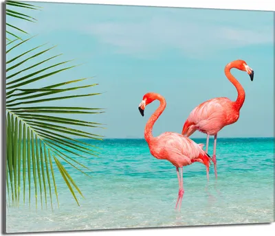 Produktbild von Glasschutzplatte für den Herd 60x52 Flamingo