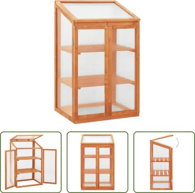 Immagine prodotto di The Living Store Serra 60x45x100 cm in legno di abete