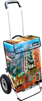 Produktbild von James Einkaufstrolley - BREMEN - stabiler Einkaufswagen mit individuellem Design - mehrfarbig: grün | braun in Ausführung: Royal-Luftraeder