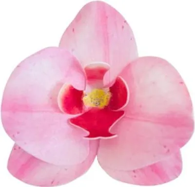 Produktbild von Waffel Orchidee Rosa 10 Stück Blume