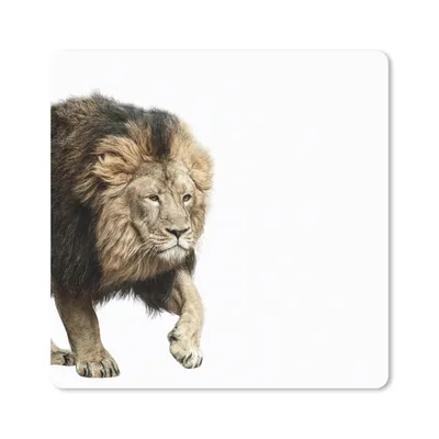 Produktbild von MuchoWow® Mauspad Mousepad Löwe - Weiß - Tiere 20x20 cm - Mousepads - Maus Mat - Pad - Mausunterlage - Desk Mat - Bureauartikeln