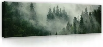 Produktbild von Leinwandbild Wald Natur 145x45 cm XXL Landschaft  Panorama Schlafzimmer Wohnzimmer Canvas Bilder Wandbilder Kunstdruck Wand Bild auf Leinwand Aufhängefertig