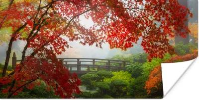 Produktbild von MuchoWow® Poster Japanischer Ahorn - Bäume - Brücke - Natur - Japanisch 120x60 cm - Bild
