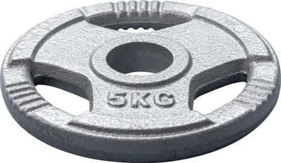 Produktbild von Hantelscheibe Guss 50 mm 5 kg