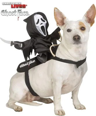 Produktbild von Ghost Face Tierkostüm für Hunde & Katzen Größe: L/XL