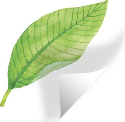 Produktbild von MuchoWow® - Selbstklebend - Fototapeten