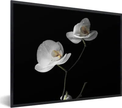 Produktbild von MuchoWow® Gerahmtes Poster Orchidee - Blumen - Schwarz - Weiß - Stilleben 40x30 cm - Poster mit Schwarzem Bilderrahmen Wandposter Rahmen Foto Bilder - Kunstposter - Wanddekorationen