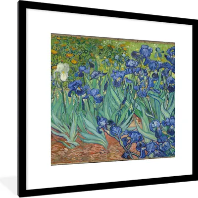 Produktbild von MuchoWow® Gerahmtes Poster Schwertlilien - Vincent van Gogh 40x40 cm - Poster mit Schwarzem Bilderrahmen Wandposter Rahmen Foto Bilder - Poster - Plakat im Rahmen