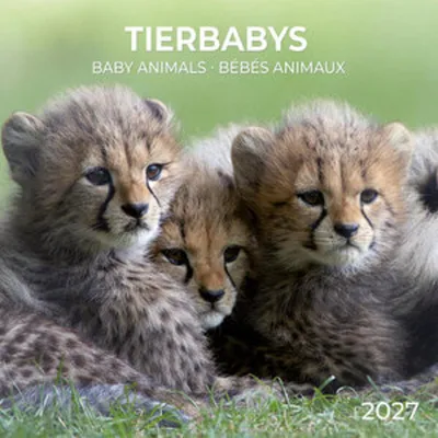 Produktbild von Tierbabys / Baby Animals  2027