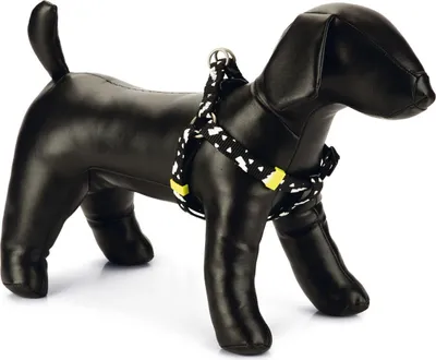 Produktbild von Beeztees Hundegeschirr Thunder Nylon schwarz, Verstellmöglichkeit: 35 - 60 cm