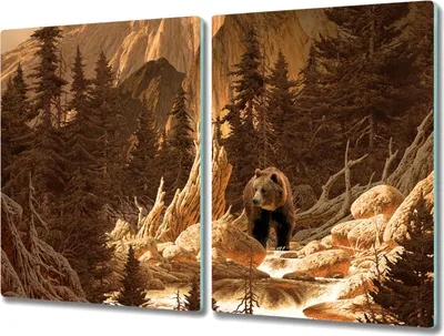 Produktbild von Coloray Herdabdeckplatte 2x40x52 cm Schneidebrett Kochplattenabdeckung Küchenbrett Hackbrett - Bärenbergwald Natur