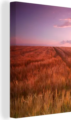Obrázek produktu pro OneMillionCanvasses® - Obraz na plátně - 90x140 cm, Louka - Slunce - Večer - Krajina, Nástěnná umělecká dekorace - Fotografie na plátně - Obraz na dřevěném rámu - Nástěnná dekorace - Ložnice