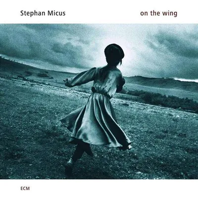 Produktbild von On The Wing