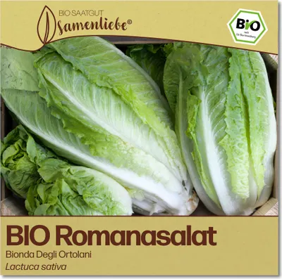 Produktbild von SamenliebeRomanasalat Samen Bionda Degli Ortolani knackiger Romasalat großer Salat grün 500 Samen samenfestes Gemüse Saatgut für Gewächshaus Freiland und BalkonGemüsesamen