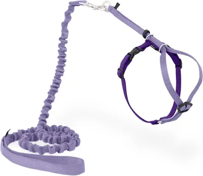 Zdjęcie produktu dla Szelki dla kota z obrożą - Bezpieczne spacery - Przygody na świeżym powietrzu - Wygodna kontrola - Obwód klatki piersiowej 23-28 cm - Czarny kolor