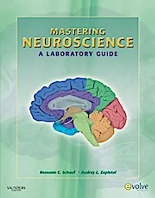 Produktbild von Mastering Neuroscience