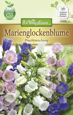 Produktbild von Marienglockenblume | Glockenblumensamen von N.L. Chrestensen