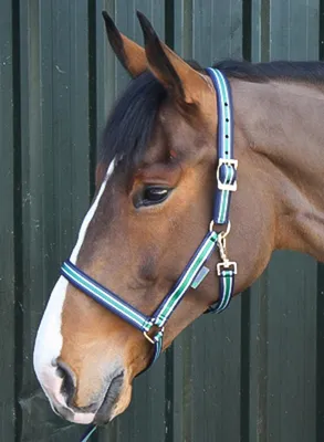 Obrázek produktu pro Bucas Nylonhalfter Dublin Halfter Striped/Navy Cob