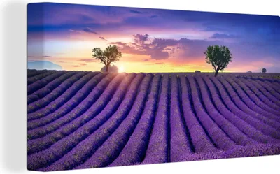 Obrázek produktu pro OneMillionCanvasses® Malba na plátně Nástěnná malba na plátně - Levandule - Kopce - Západ slunce - Fialová - 40x20cm