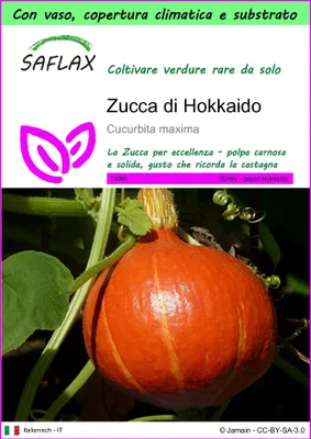 Immagine prodotto di SAFLAX Garden to go - Zucca di Hokkaido - 10 semi - Cucurbita
