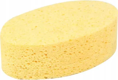 Obrázek produktu pro Levior Houba celulózová  110x180x51mm 1690