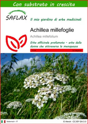 Immagine prodotto di SAFLAX  - Achillea millefoglie - 200 semi - Con substrato - Achillea