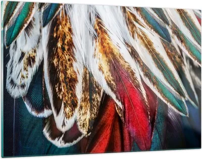 Produktbild von Bilder auf glas - Federn Federn Vogel - 120x80cm - Glasbilder - Wandbilder - Kunstdruck - zum Aufhängen bereit - Wanddekoration aus Glas - Glas Bilder - Wandbild auf Glas - Einteilig - GAA120x80-3743