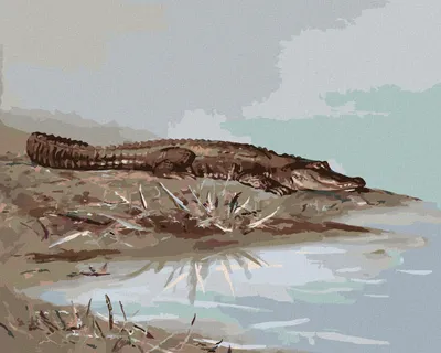 Produktbild von Zuty - Malen nach Zahlen - AM WASSER LIEGENDER ALLIGATOR (D. RUSTY RUST), 40x50 cm, mit Keilrahmen (bereits gespannt)