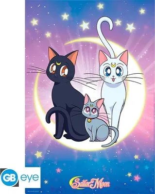 Produktbild von SAILOR MOON - Poster Maxi 91cmx51cm - Luna, Artemis & Diana