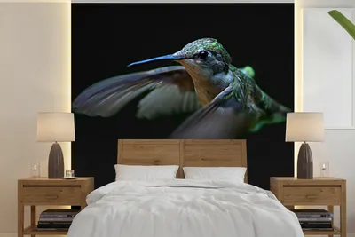 Produktbild von MuchoWow® Fototapete für Wohnzimmer oder Schlafzimmer Wandtapete Vinyl Motivtapete Kolibri - Federn - Schwarz - 300x300 cm - Wanddekoration
