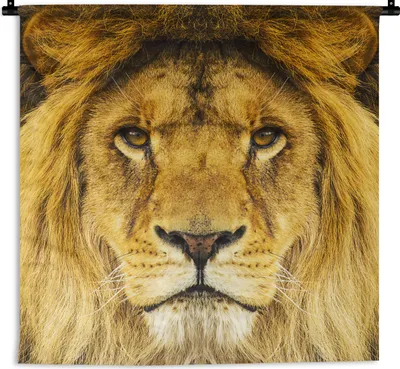 Produktbild von MuchoWow® Wandteppich Wandbehang Löwe - Porträt - Braun 150x150 cm Tapisserie Dekoration Wandtuch - Wohnaccessoires - Modernes