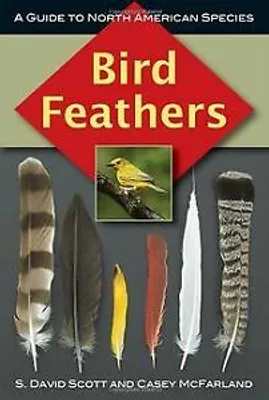 Zdjęcie produktu dla Bird Feathers