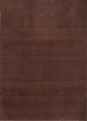 Image de Sky tapis poils ras coureur 80x250cm brun