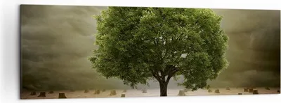 Produktbild von Bild auf Leinwand - Leinwandbild - Baum Feld Umwelt - 160x50cm - Wand Bild - Wanddeko - Wandbilder - Leinwanddruck - Bilder - Kunstdruck - Wanddekoration - Leinwand bilder - Wandkunst - AB160x50-2727