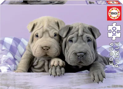 Obrázok produktu pre Educa - Psí šteniatka ráno 100 dielov puzzle