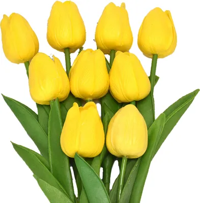 Produktbild von 5pcs künstliche Tulips lebensee realistische Plastik -Kunstseidenssimulation für Home-Gelb