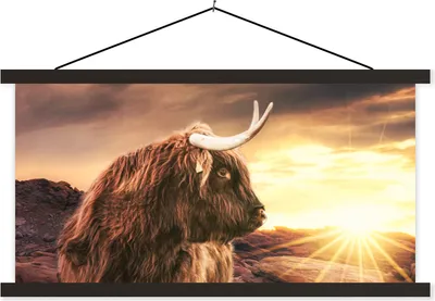 Produktbild von MuchoWow® Textilposter Schottische Hochlandrind - Natur - Sonne 150x75 cm mit schwarzem Rahmen - Posterleiste