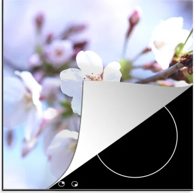 Produktbild von KitchenYeah© Herdabdeckplatte Blumen - Sakura - Zweig , 78x78cm, Küche Deko, Glaskeramikkochfeld Herdabdeckung, Abdeckplatte fùr Kochfeld