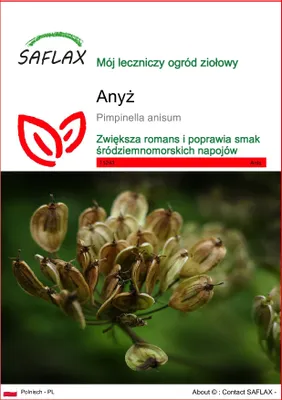 Zdjęcie produktu dla SAFLAX - Anyż - 200 Nasiona - Pimpinella anisum