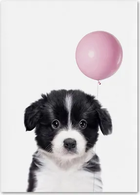 Produktbild von TPFLiving Kunstdruck LW-1032 (OHNE RAHMEN) Poster - Leinwand - Wandbild - Hochauflösender Giclée-Druck, langlebig und hochwertig - Hase, Waschbär, Gans, Katze, Ente, Reh, Hund, Panda mit Luftballon -  - Größe: 40x50cm