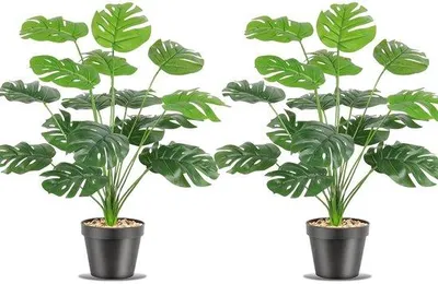 Immagine prodotto di Pianta artificiale 50 cm verde tropicale, set da 2 pezzi