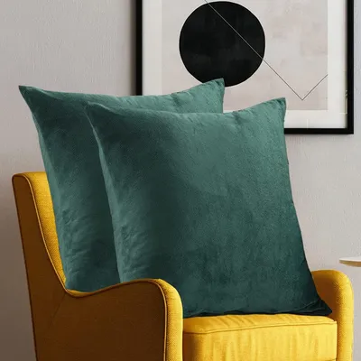 Productafbeelding van Set van 2 kussenhoezen, 60x60 cm, groen/donkergroen fluweel, decoratieve kussenhoezen, zacht, pluizig, knus, decoratieve kussens, sofa kussens, lendenkussens, decoratieve kussenhoezen, kussenhoezen voor de slaapkamer
