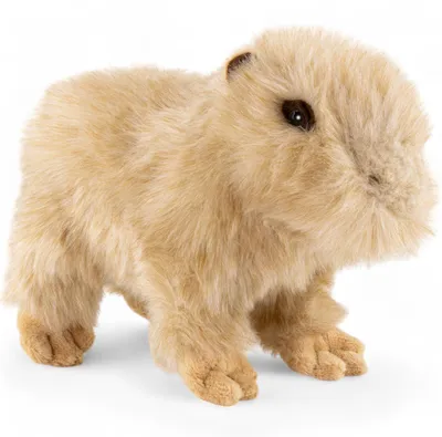 Obrázok produktu pre Carl Dick capybara, kapybara 30cm plyšová hračka, plyšová hračka, plyšová hračka 3652