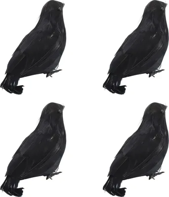 Image de Lot de 4 décorations de corbeaux pour Halloween, corbeaux artificiels à plumes noires, accessoires photogéniques réalistes pour bureau et extérieur